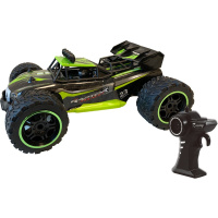 RC Pro Extreme Buggy 1:14