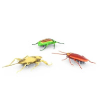 HexBug – Brouci