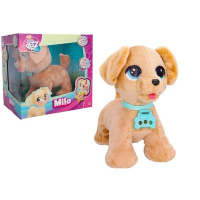 Club Petz – Psík Milo
