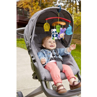 Fisher Price - Kolotoč na kočárek