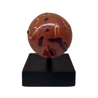 Meziplanetární průzkumník - Mars