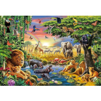 Puzzle 2000 – Africké zhromáždení