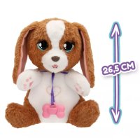 Baby Paws – U veterináře