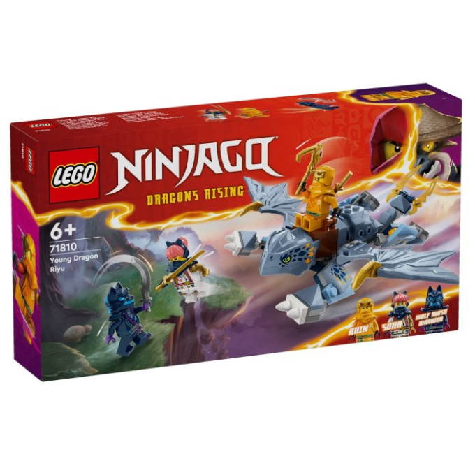 71810 Lego Ninjago – Dračí mládě Riyu