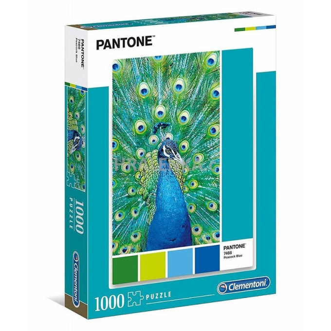 Puzzle 1000 – Páv