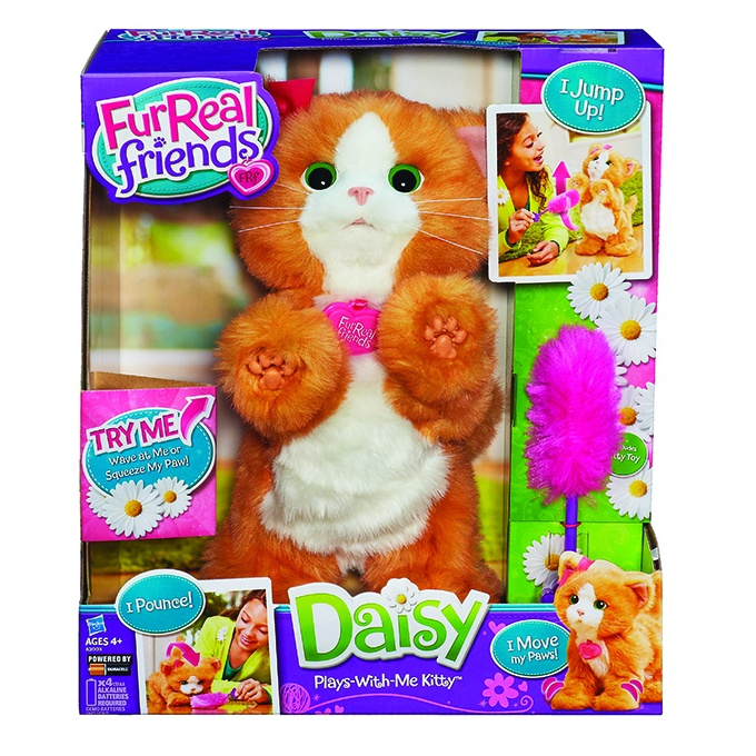 Koťátko Daisy