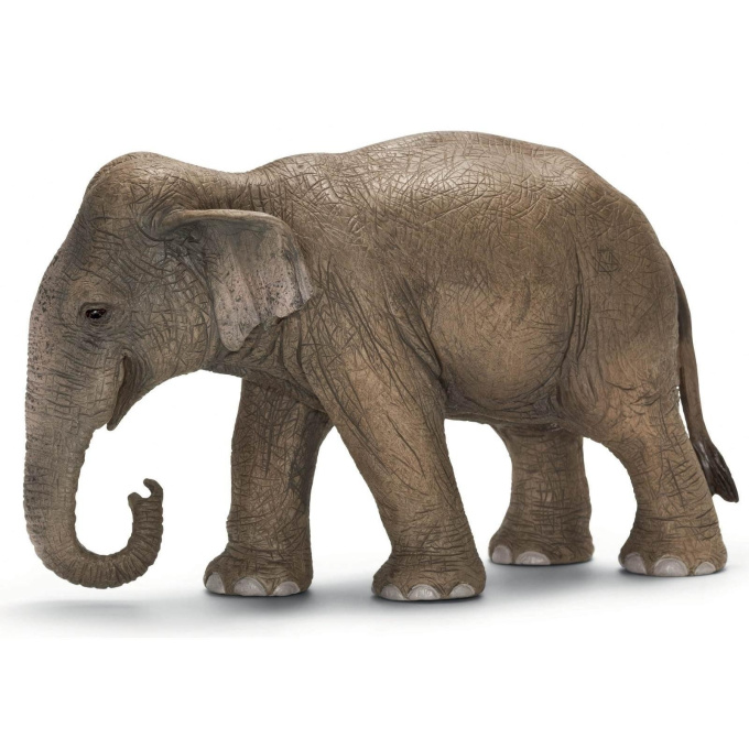 Schleich - Slon asijský samice 14753