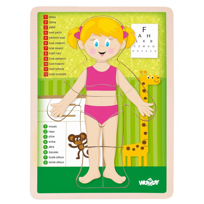 Puzzle – Lidské tělo děvče