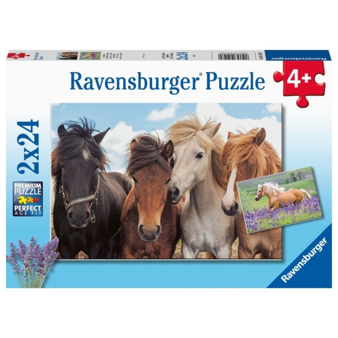 Puzzle 2x24 - Kone