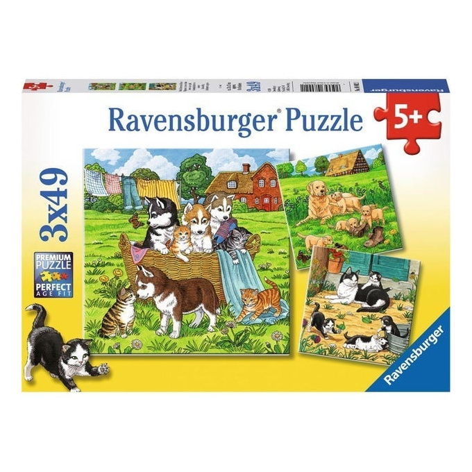Puzzle 3x49 - Psi a kočky