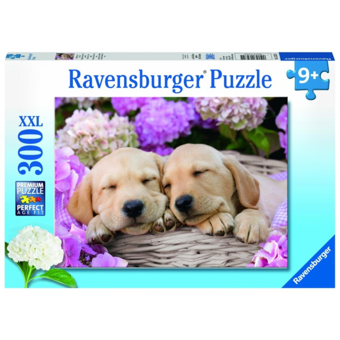Puzzle 300 XXL - Spící štěňata