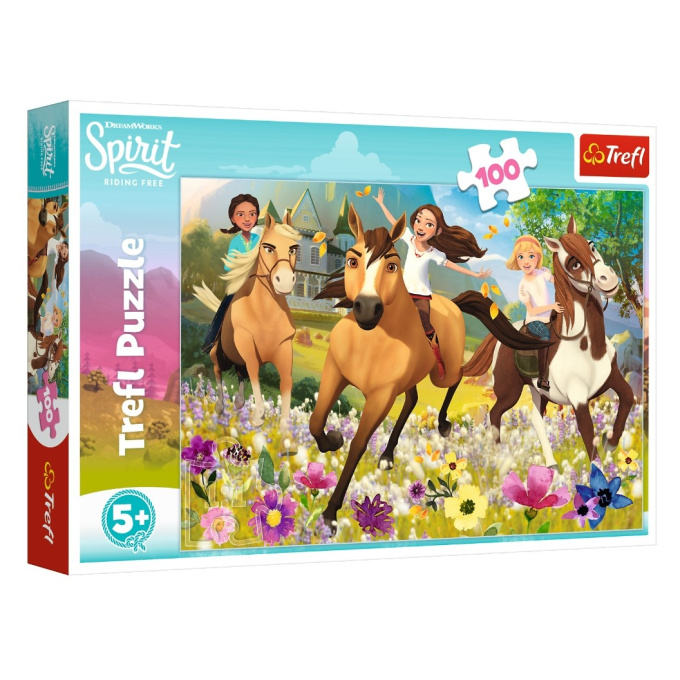Puzzle 100 – Spirit, volnost nadevše