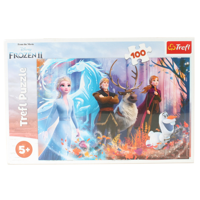 Puzzle 100 - Frozen 2