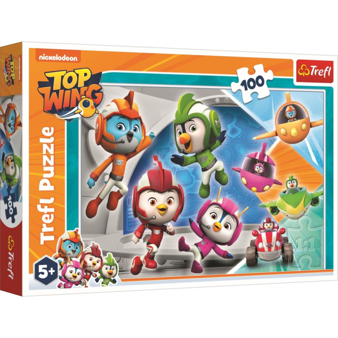 Puzzle 100 – Top Wing