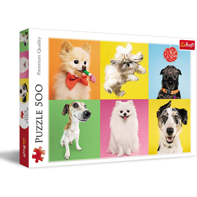 Puzzle 500 – Psi