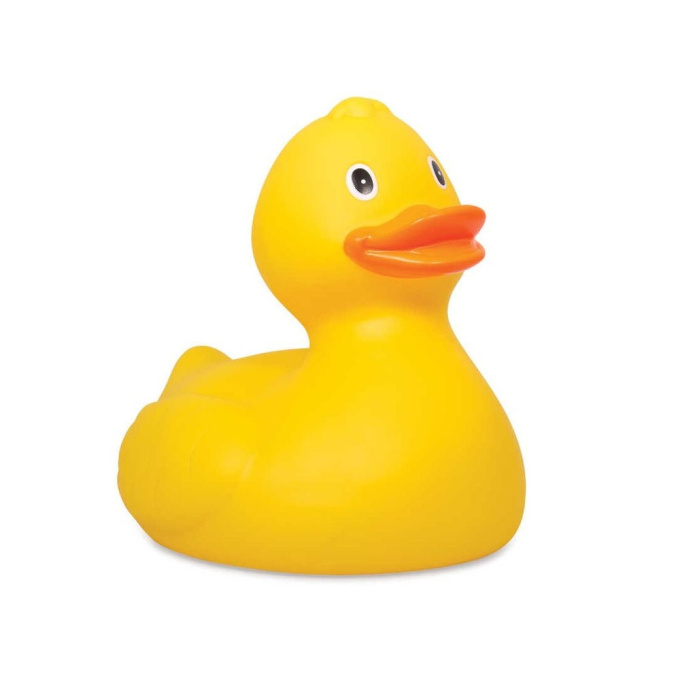 Kachnička do vody