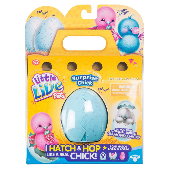 Little Live Pets – Vajíčko