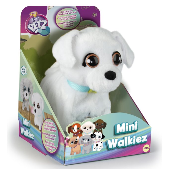 Club Petz - Chodící bichon