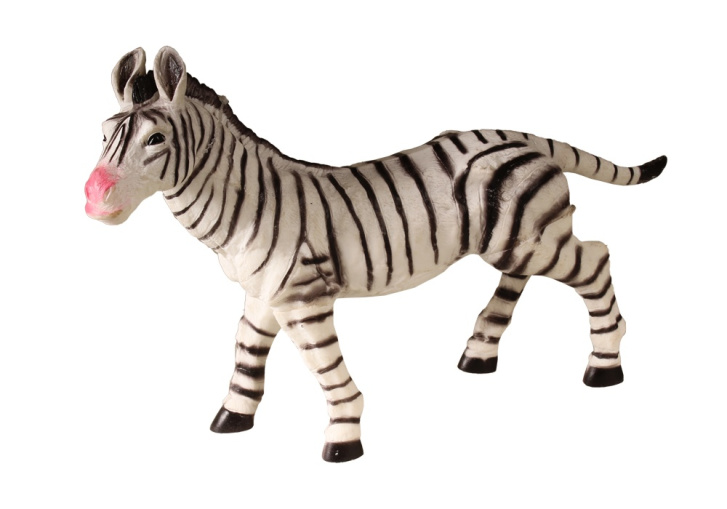 Divoká zvířata Zebra
