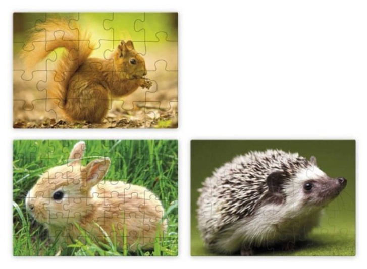Puzzle 3 v 1 – Mláďátka v lese