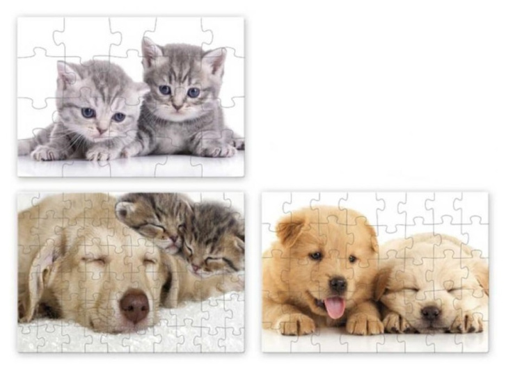 Puzzle 3 v 1 – Mazlíčci