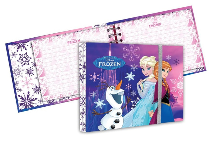 Disney zápisnik