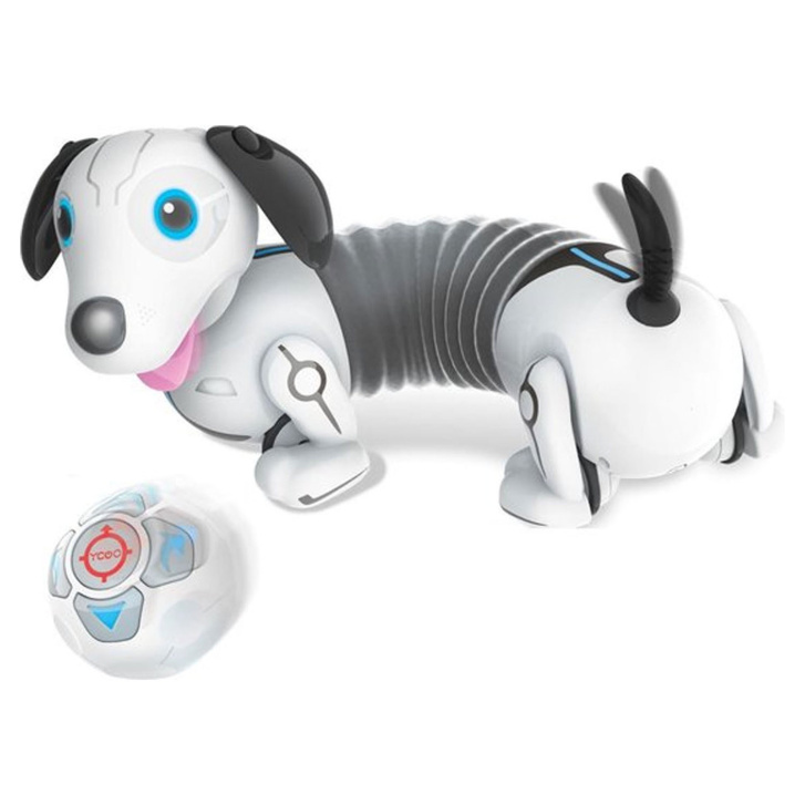 Robo Pudlík
