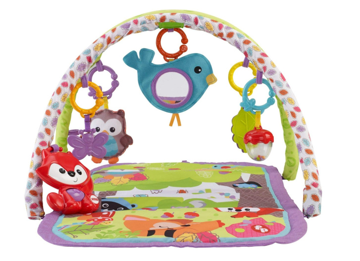 Fisher-Price - Hrací deka s hrazdičkou