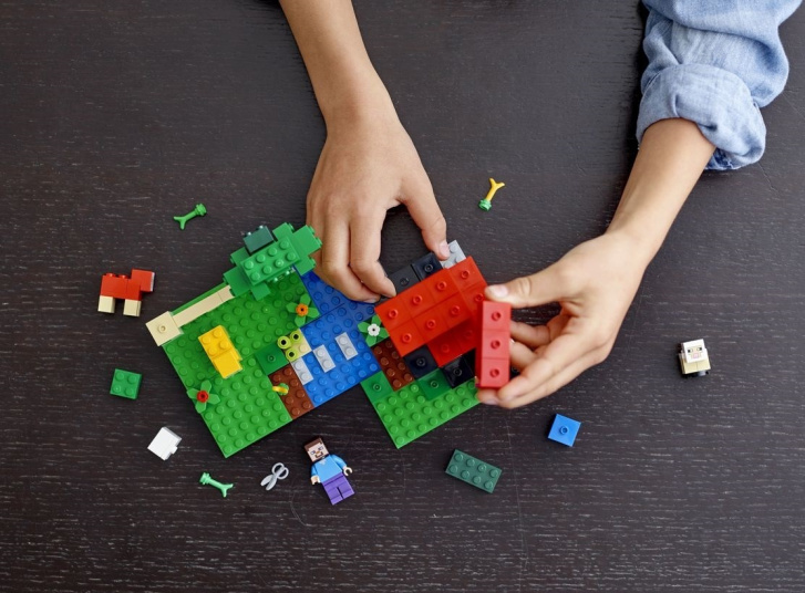 21153 LEGO MINECRAFT - Ovčí farma