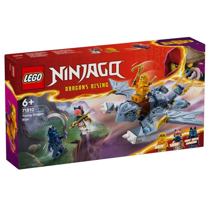71810 Lego Ninjago – Dračí mládě Riyu
