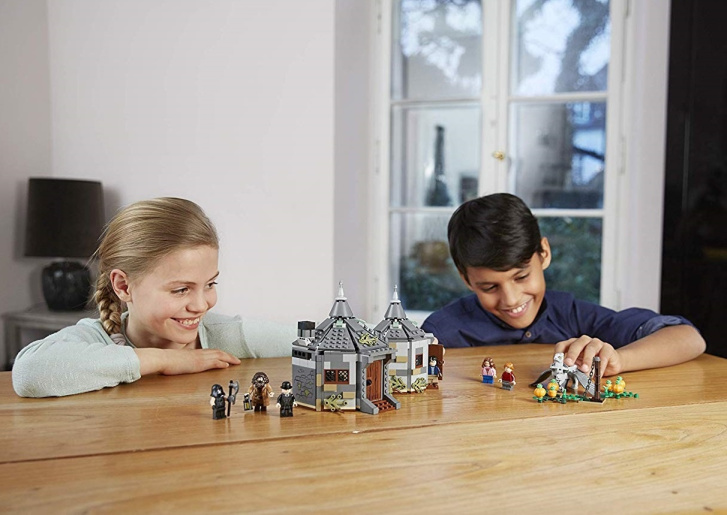 75947 LEGO HARRY POTTER - Hagridova chatrč: Záchrana Klofana
