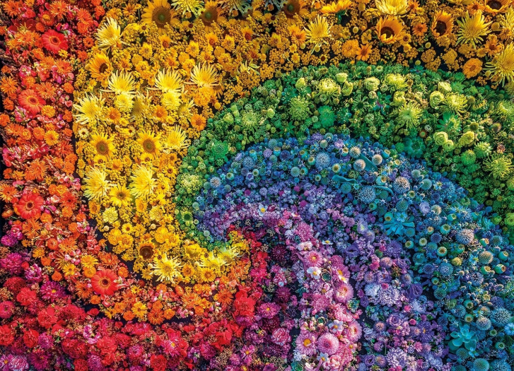 Puzzle 1000 – Spirála barevných květů