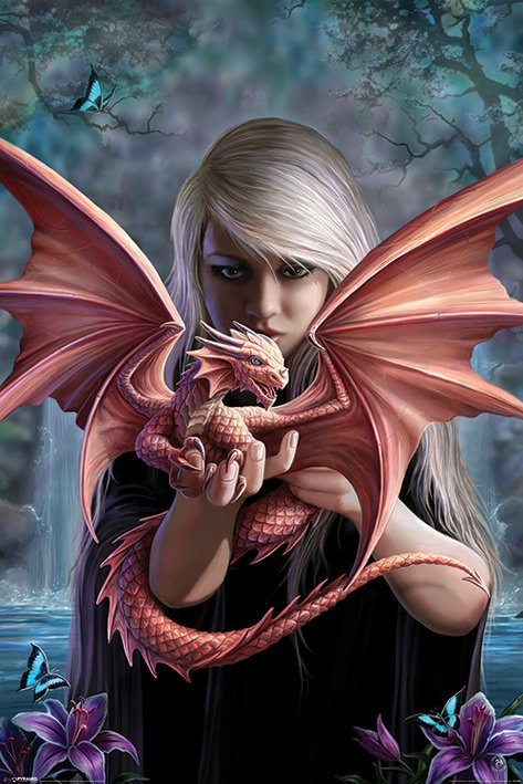 Puzzle 1000 – Anne Stokes