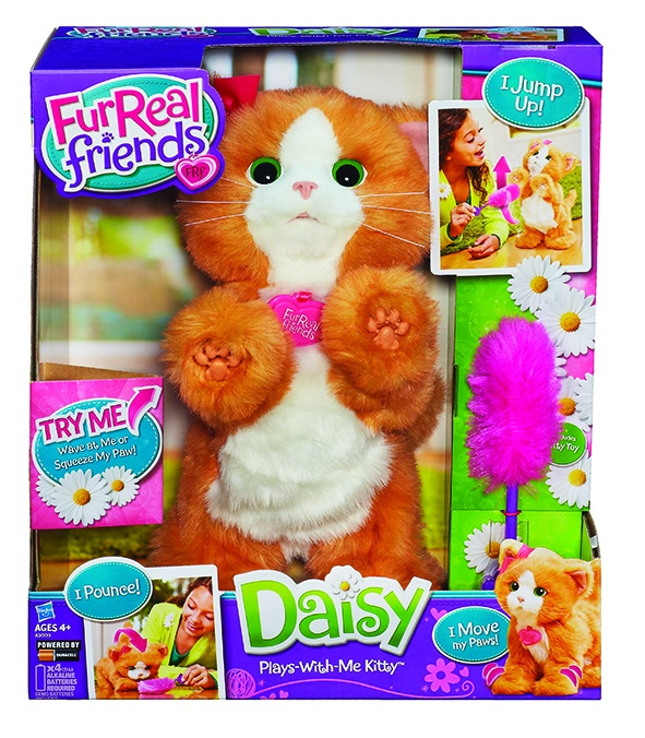 Koťátko Daisy