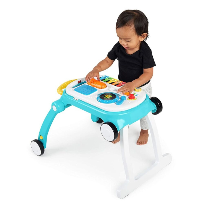 Baby Einstein – Chodítko 4 v 1