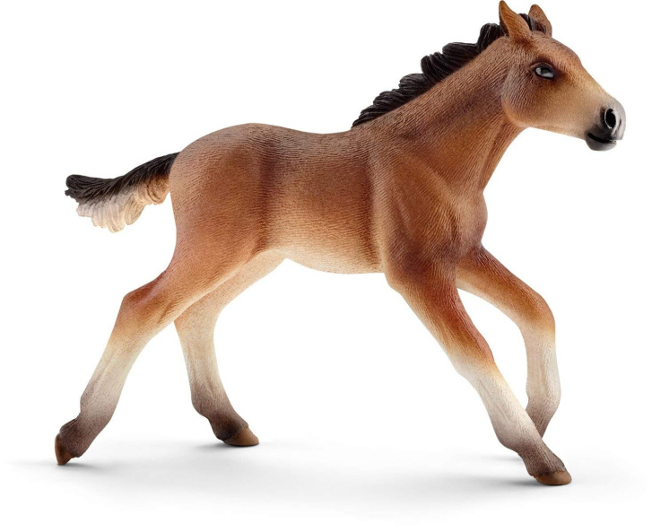 Schleich - Hříbě Mustang 13807