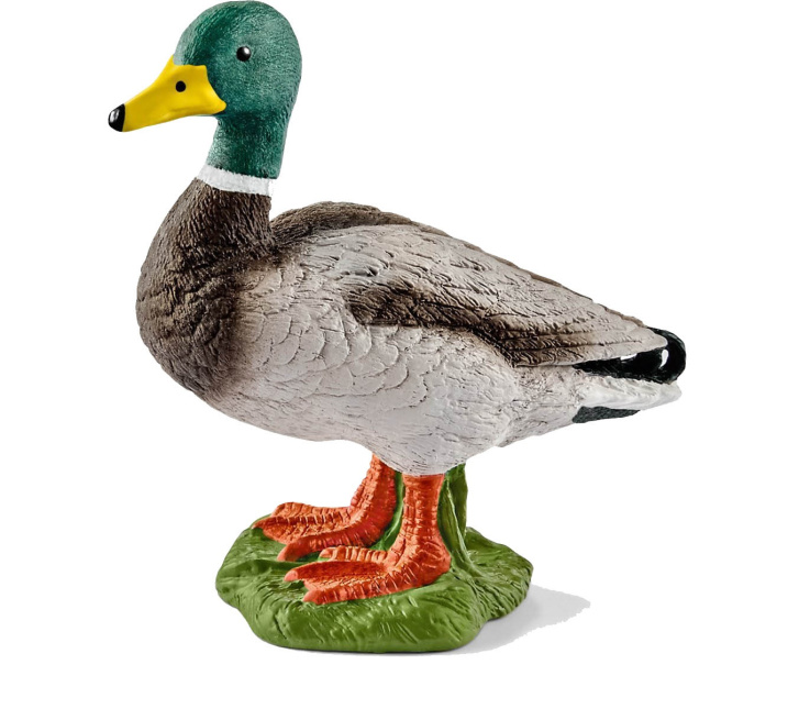 Schleich – Kačer 13824
