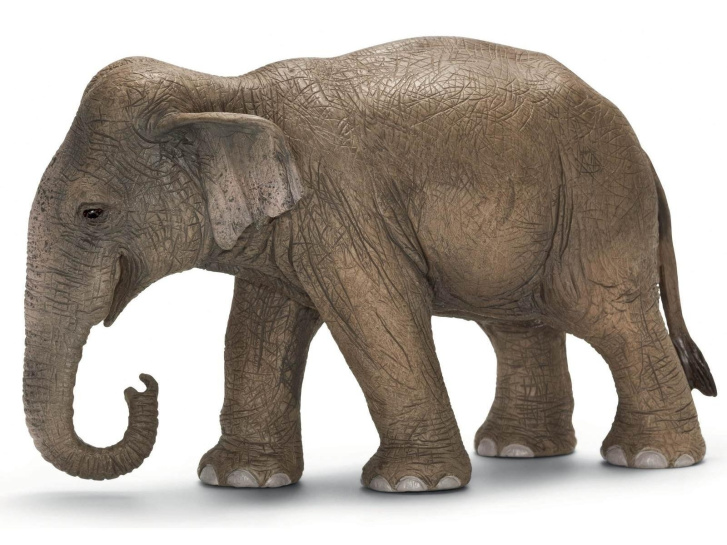 Schleich - Slon asijský samice 14753