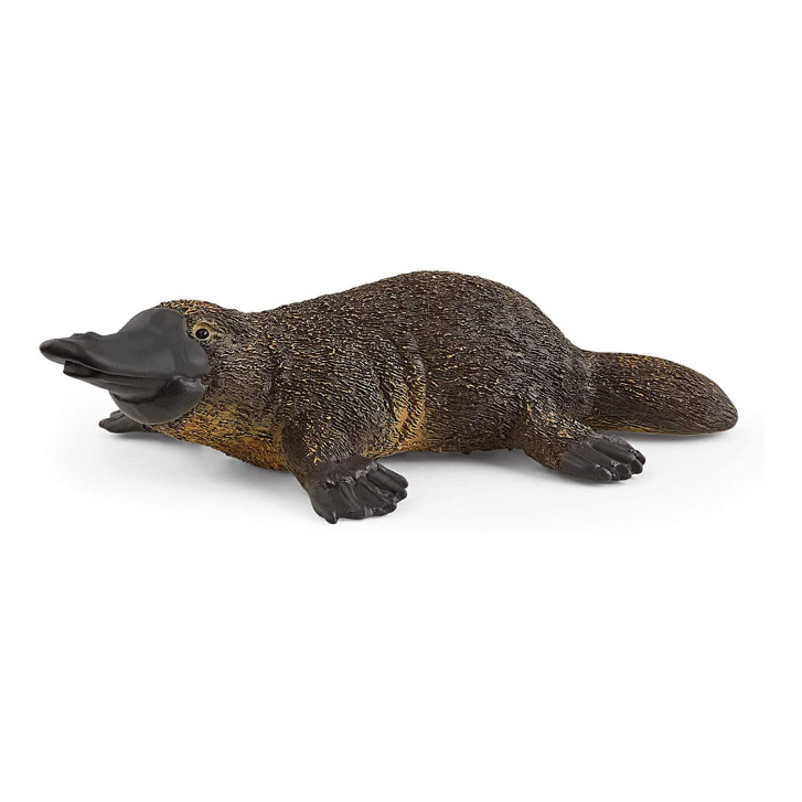 Schleich - Ptakopysk 14840