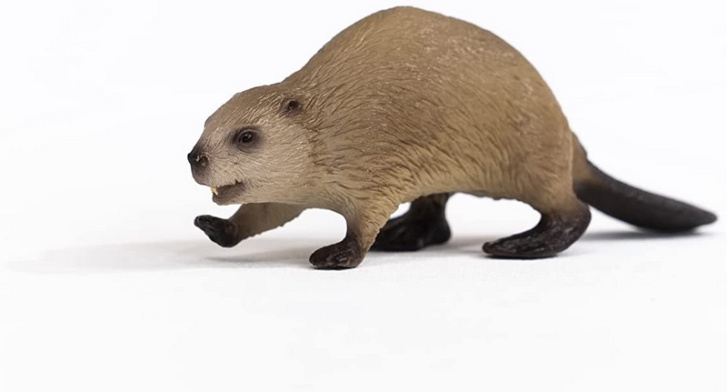 Schleich – Bobr 14855