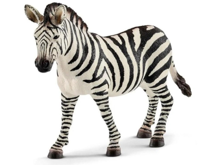 Schleich – Zebra 17021