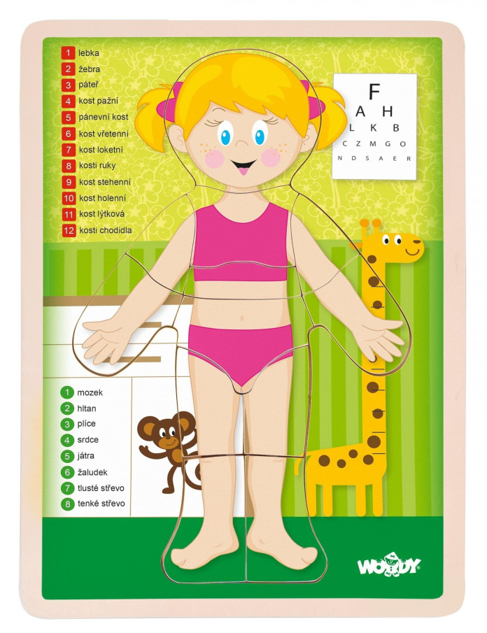 Puzzle – Lidské tělo děvče