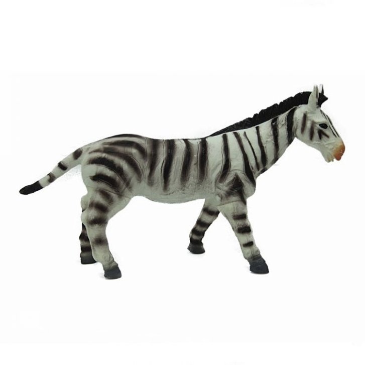 Divoká zvířata Zebra