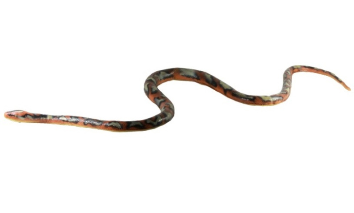 Had