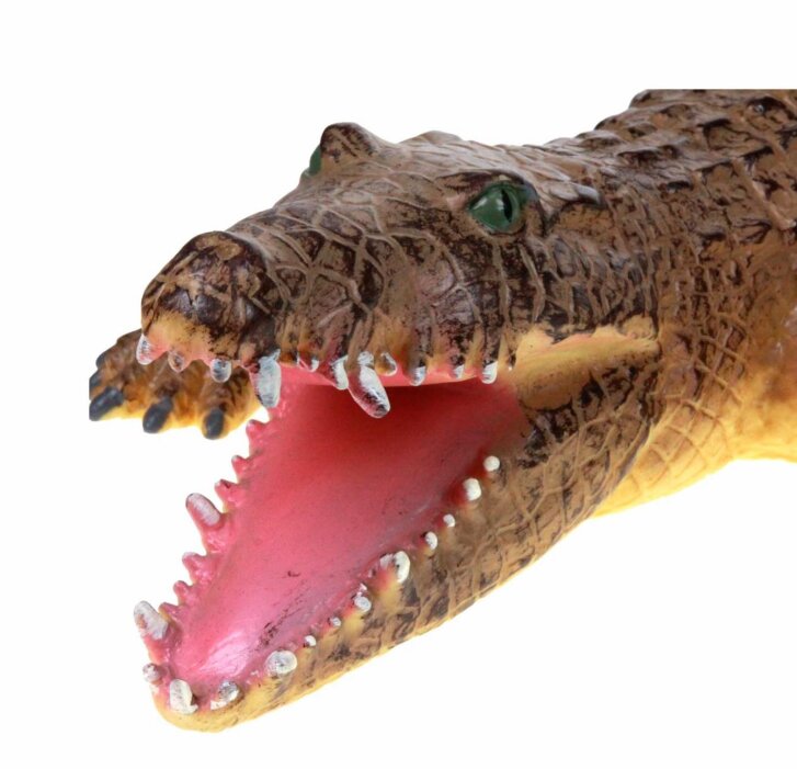 Krokodýl
