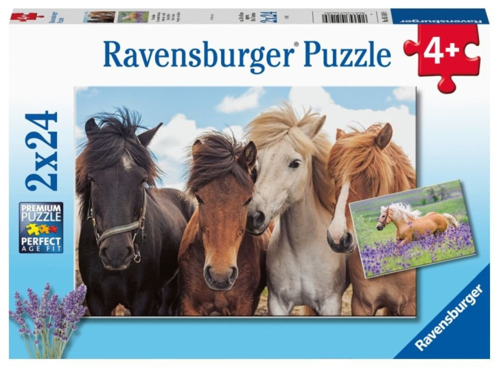 Puzzle 2x24 - Kone