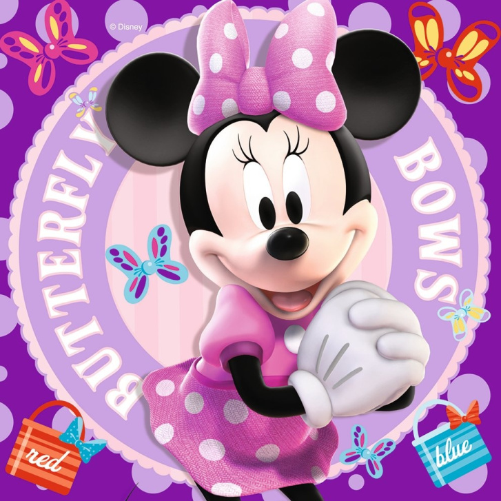 Puzzle Minnie 3v1