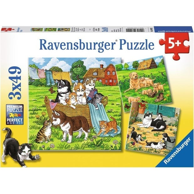 Puzzle 3x49 - Psi a kočky
