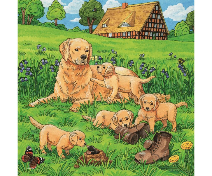 Puzzle 3x49 - Psi a kočky