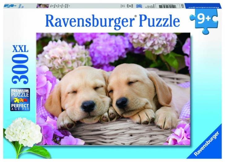 Puzzle 300 XXL - Spící štěňata